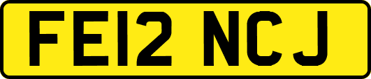 FE12NCJ