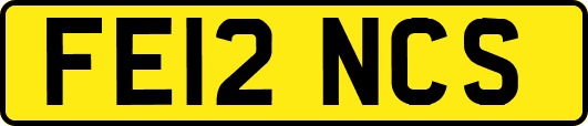 FE12NCS