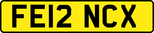 FE12NCX