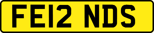 FE12NDS