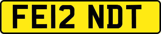 FE12NDT