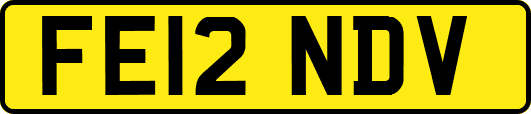 FE12NDV