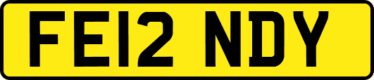 FE12NDY