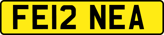 FE12NEA