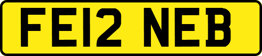 FE12NEB