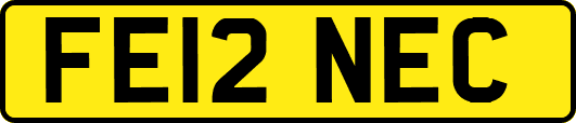 FE12NEC