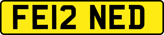 FE12NED