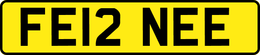 FE12NEE