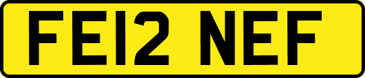 FE12NEF