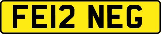 FE12NEG