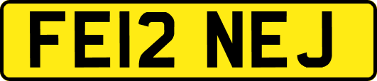 FE12NEJ