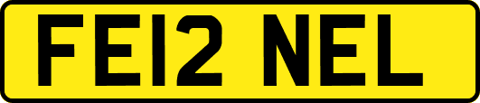 FE12NEL