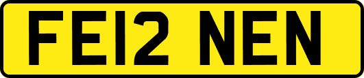 FE12NEN