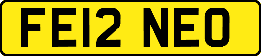 FE12NEO