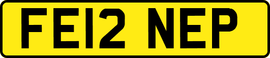 FE12NEP