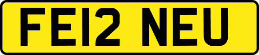 FE12NEU