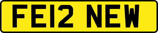 FE12NEW