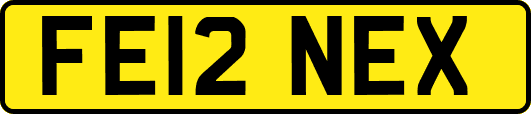 FE12NEX