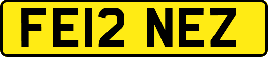 FE12NEZ