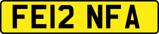 FE12NFA