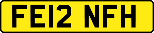 FE12NFH