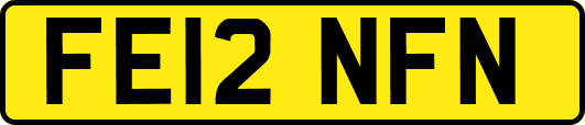 FE12NFN