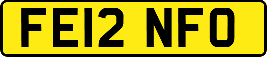 FE12NFO