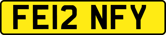 FE12NFY