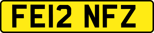 FE12NFZ
