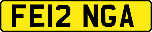 FE12NGA