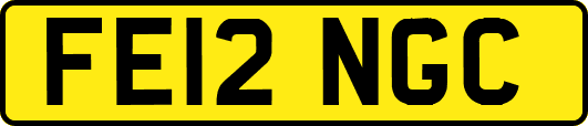 FE12NGC