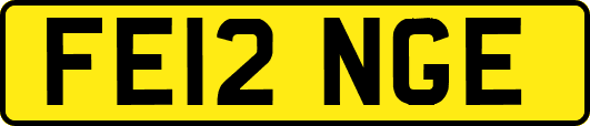 FE12NGE