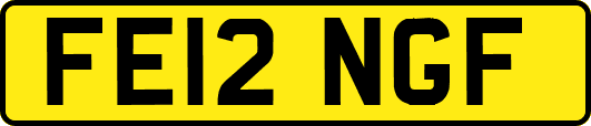 FE12NGF