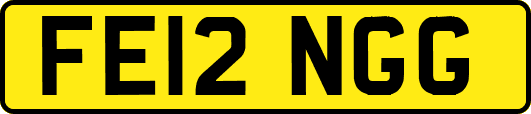 FE12NGG