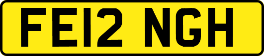 FE12NGH