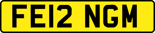 FE12NGM