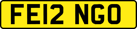 FE12NGO