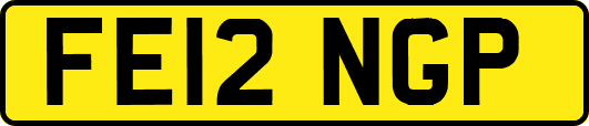 FE12NGP