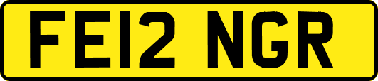 FE12NGR