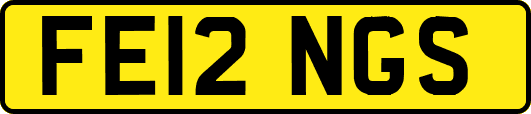 FE12NGS