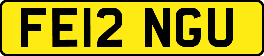 FE12NGU