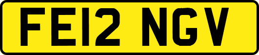 FE12NGV