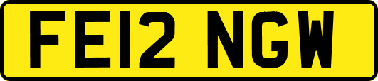 FE12NGW
