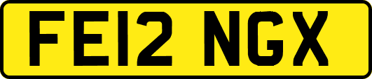 FE12NGX