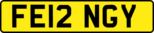 FE12NGY