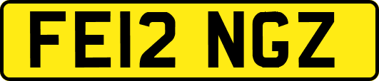 FE12NGZ