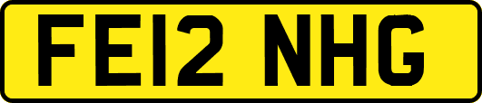 FE12NHG