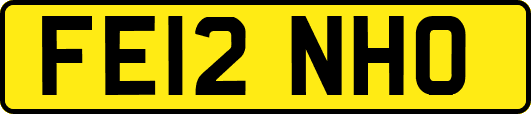 FE12NHO