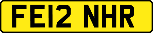 FE12NHR