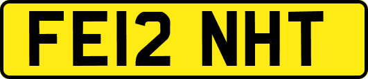 FE12NHT